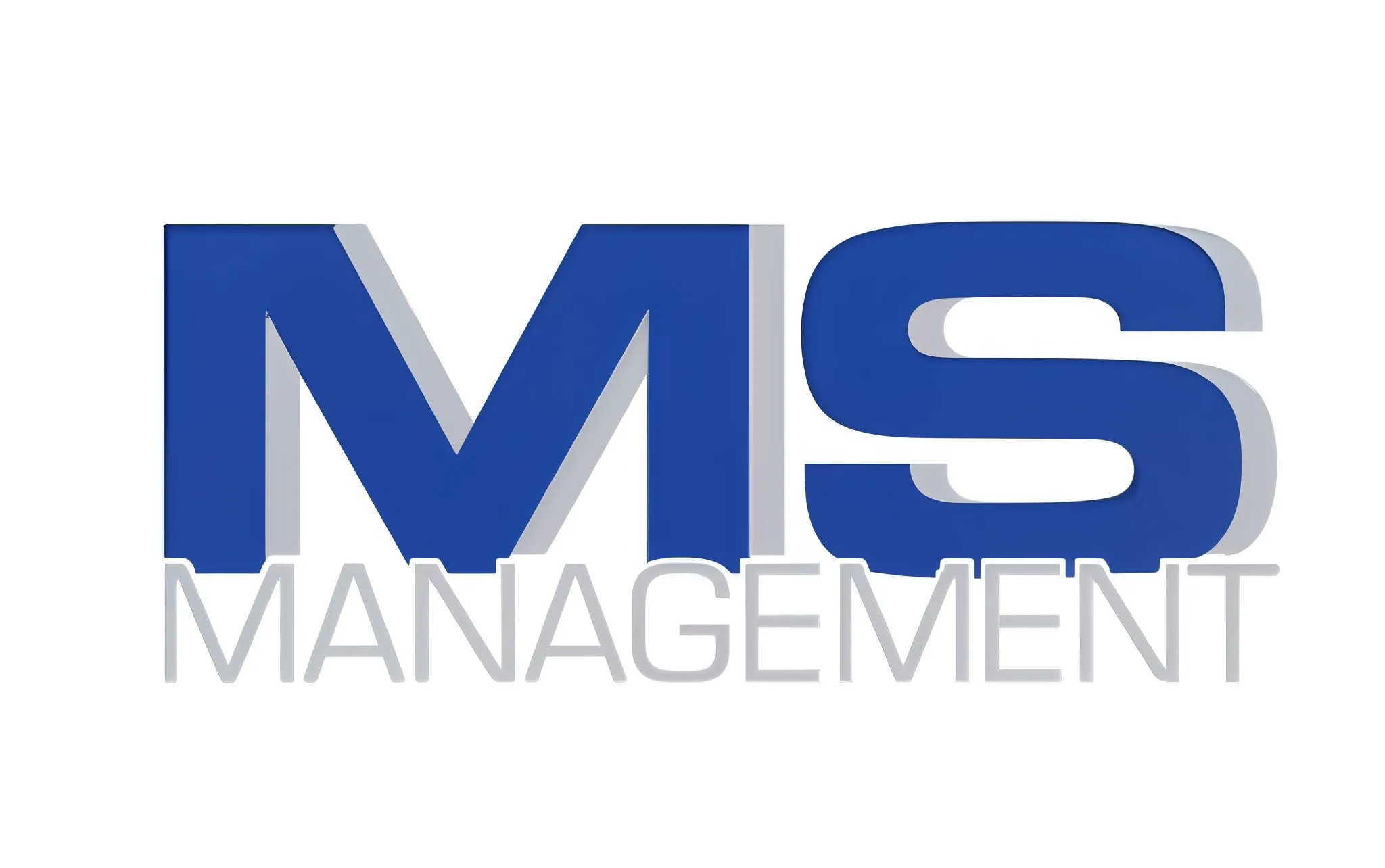 MS Management – ​​Management – ​​Logo